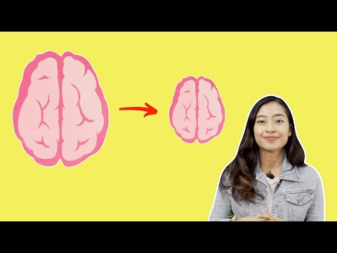 Video: Bagaimana Meningkatkan Serotonin: Bolehkah Pemulihan Semula Jadi?