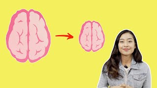4 Benda yang Buat Otak Anda Jadi Dungu