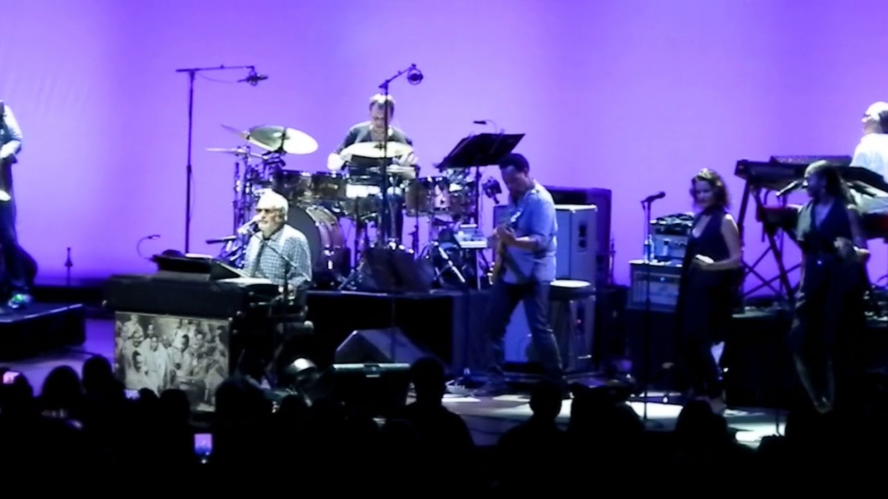 Steely Dan Concert YouTube