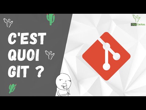 Vidéo: Qu'est-ce qu'un instantané dans le contrôle de version ?