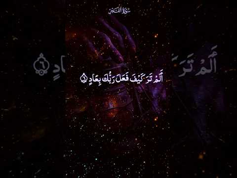 حديث السوشيال ميديا الطفل عبدالله أحمد شعبان صوت من السماء سورة الفجر Quran القرآن الكريم قرآن