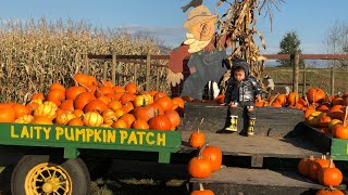 Laity pumpkin patch| cuojen Adventures