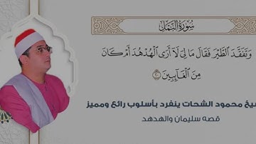 سورة النمل //الشيخ قارئ محمود الشحات #قاري #محمودالشحات #مصر