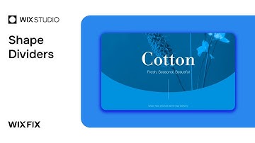 Vormverdelers in Wix Studio | Wix Fix