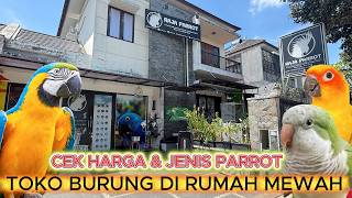 Raiding a Parrot Shop in a Luxury Home