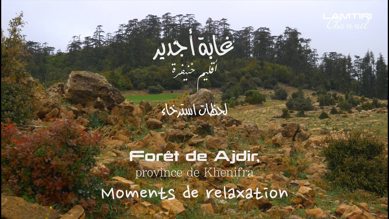 Ajdir forest Khenifra غابة أجدير خنيفرة