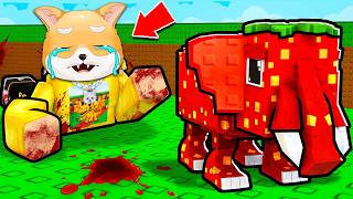 Nu Muri Pentru Brainroti