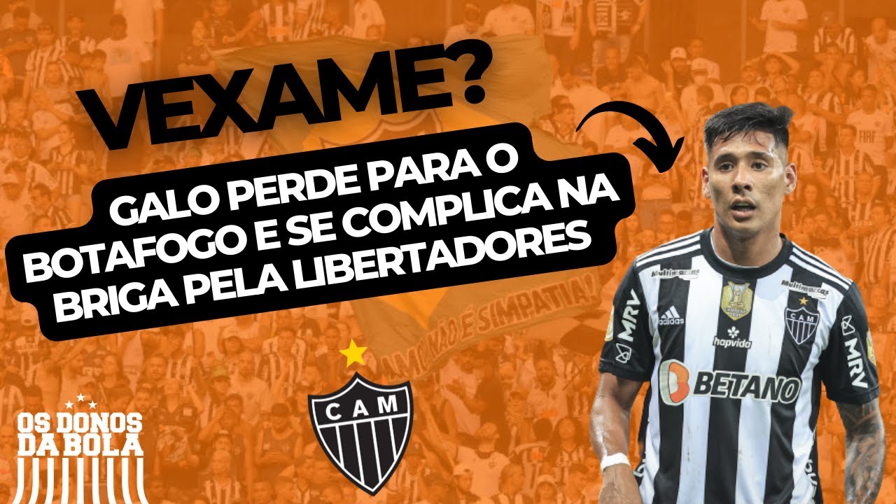 COM POLÊMICA DE ARBITRAGEM, GALO PERDE PARA O BOTAFOGO EM CASA - YouTube