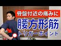 【骨盤の痛み】腰方形筋トリガーポイント