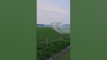 Dji T40 doing a Great Job as Always #dji #agras #drone  #automation #technology @DJIAgriculture