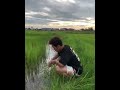 ជានិស័យ្ស🤣សូមជួយគាំទ្ររផងបាត🙏សអភ័យទោសសម្រាប់ការខ្វះខាត🙏🥰#កំប្លែង #funny #សំណើច#comedy