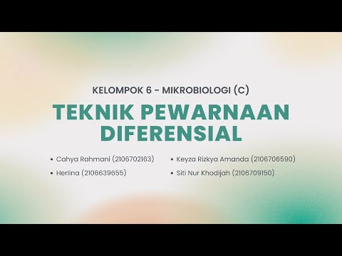 Video: Dalam prosedur pewarnaan diferensial?