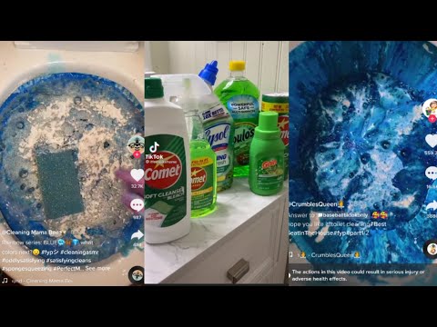 Satisfying Tiktok Compilation: Toilet Cleaning Overload