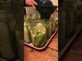 Beginner Pickle Recipe