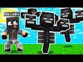IL BIG LADRO ATTACCA LA BIG VANILLA con 10 WITHER - Minecraft