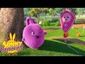 Cartoons for Children | SUNNY BUNNIES - KITES | Funny Cartoons For Children