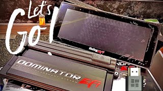 💥 Holley Dominator Main Harness Install 🚗 💨 👉🏻 🐢