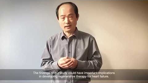 Stimulating cardiac cell growth