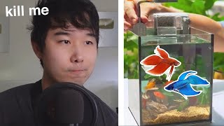Community Tank with TWO BETTAS?! | Fish Tank Review 199