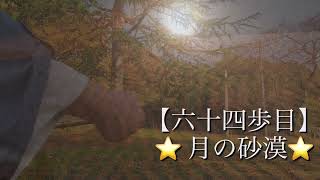 二胡千里の道⭐️六十四歩目⭐️【月の砂漠】公園から小鳥と一緒に砂漠へワープしてきましたー?