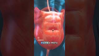 SJÖGREN E SAÚDE GERAL INSTAGRAM : @sjogrenesaudegeral      #barrigainchada #barriga #intestino