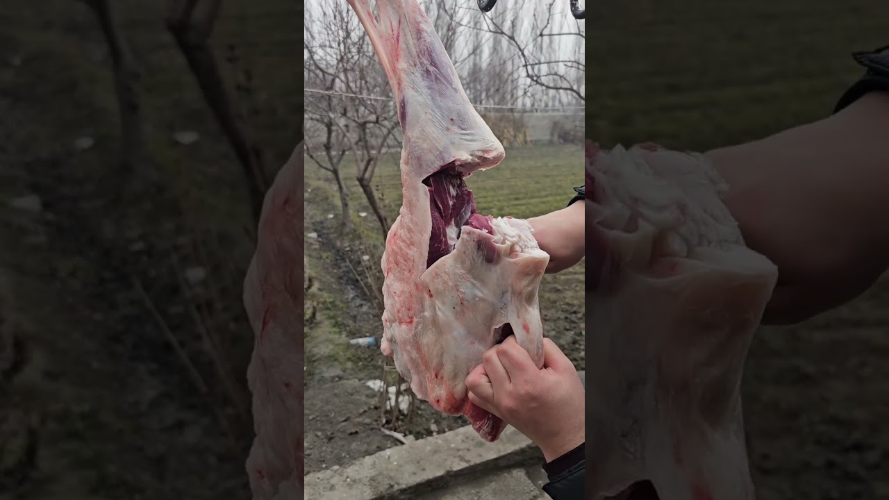 Satisfying Meat Cutting ✨ | Perfect Knife Skills 