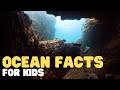 Ocean Facts for Kids | Learn interesting facts about the world&#39;s largest pool!