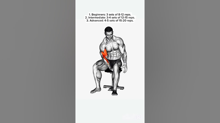 Top 4 Perfect Biceps Workout at Home ( No Equipment) #biceps #bicepsworkout #homeworkout