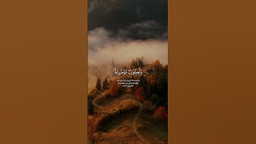سورة الغاشية الشيخ عبدالرحمن مسعد #القرآن_الكريم #تلاوة_خاشعة #holyquran #quran #عبدالرحمن_مسعد