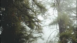 Against All Odds - Tiko Tiko (CINEMATIC MUSIC)