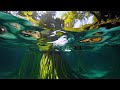 AI-Generated Focus EP432 | Nature Flow EP7 4K | Deep Concentration & Productivity Sounds 🌿💻