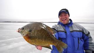 Clam Snow Drop XL Jig