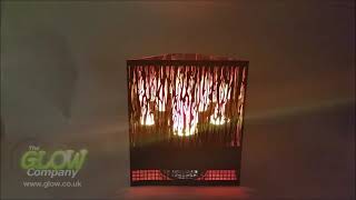 Red Led Vine Firebox - Flame Effect for Unused Fire Place