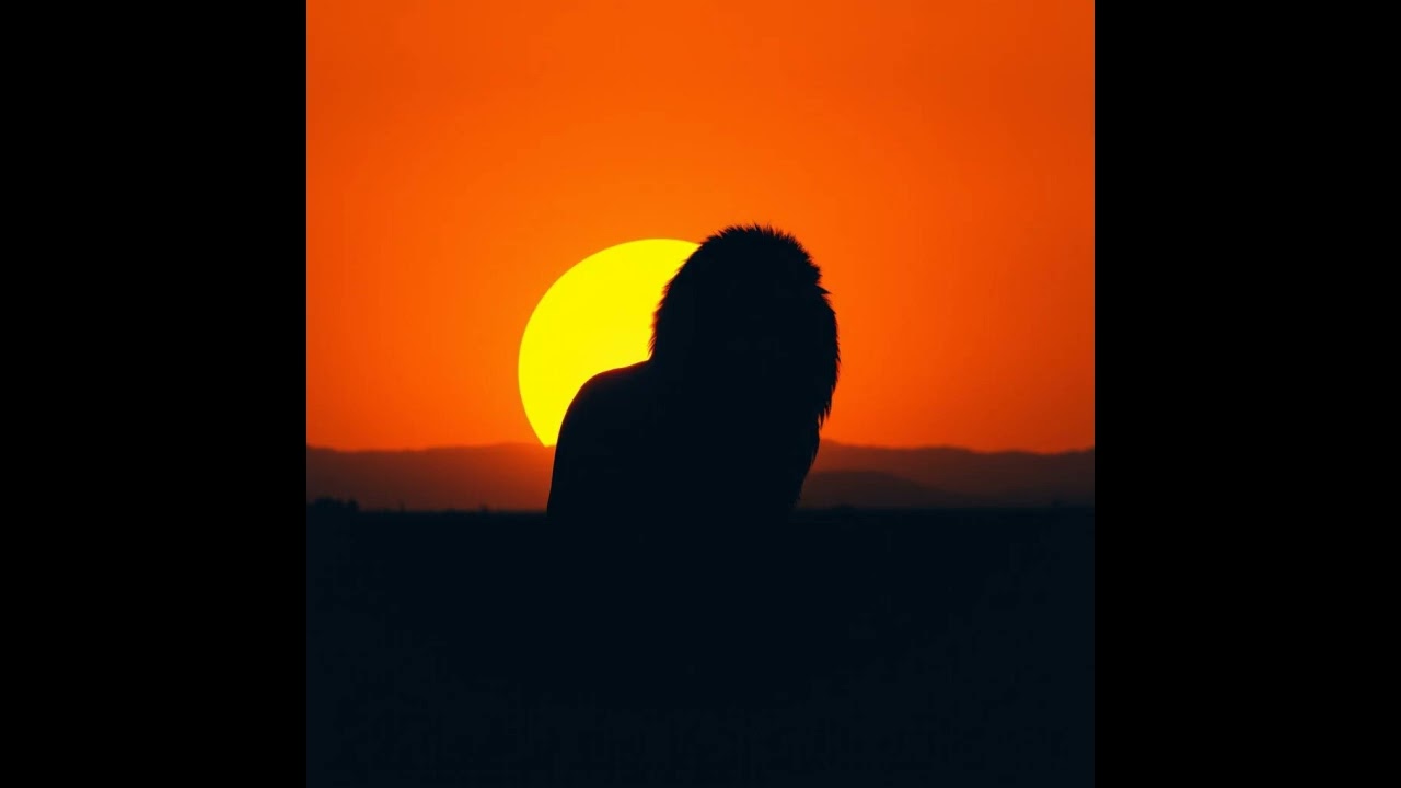 FiliFaï - Lion Signal