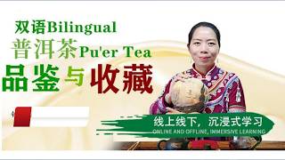 【English Puer Tea Course】Understand the Art of Life Through Puer Tea.