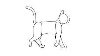 Cat Walk Cycle - **WIP**