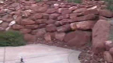 T-rex 450 SE V2 1st Hover