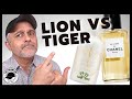 CHANEL'S LION VS GUCCI'S TIGER | BATTLE OF THE TWO AMBER PERFUMES | LE LION VS THE EYES OF THE TIGER