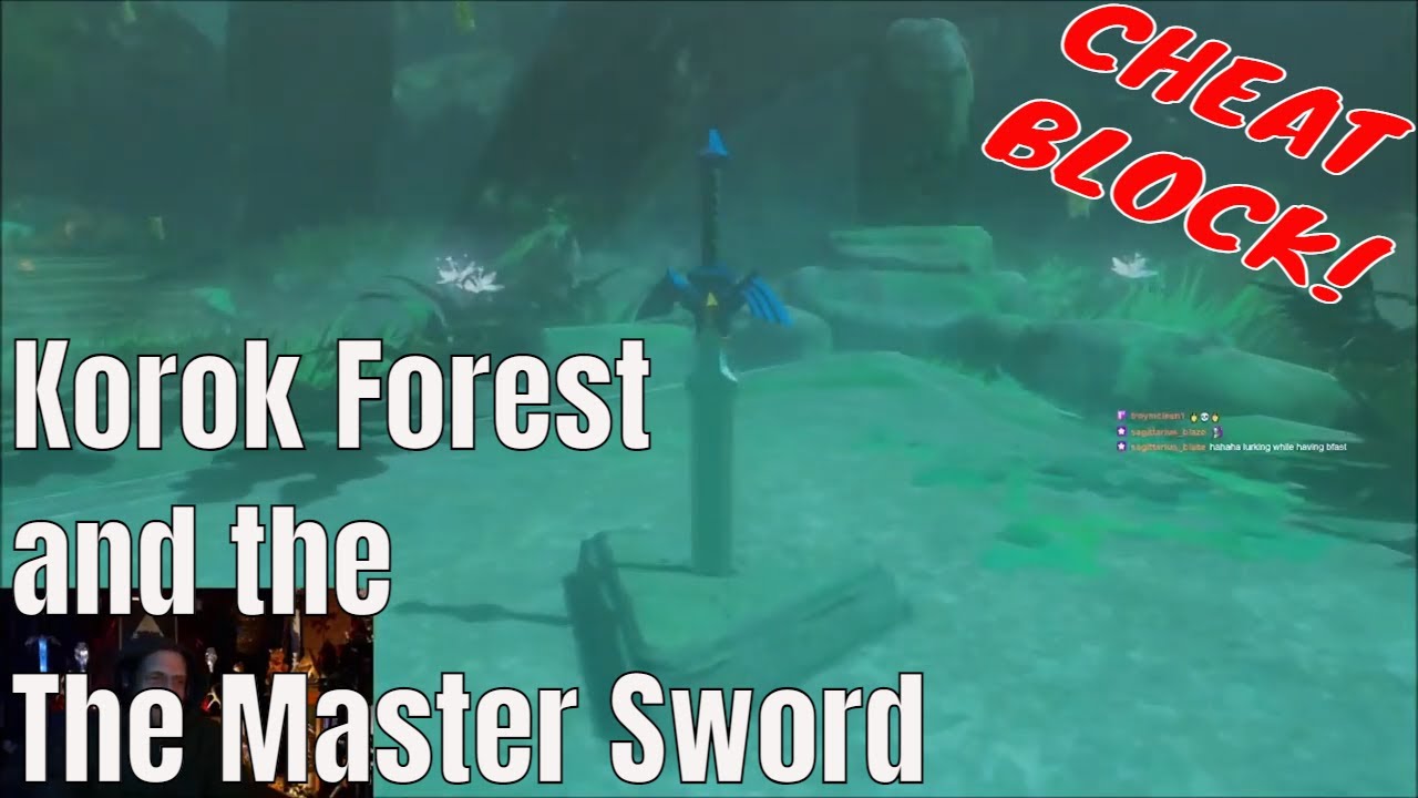 Breath of the Wild: Korok Forest Guide To Get The Master Sword (FULL WALKTHROUGH)