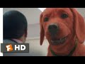 Clifford the Big Red Dog (2021) - At the Vet Scene (4/10) | Movieclips