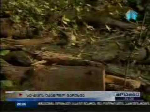 MOE: გარემოსდაცვითი ზედამხედველობის დეპარტამენტმა ლიცენზიანტები შეამოწმა