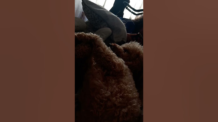 perchè ho messo questo suono? e bho non lo so neanche io