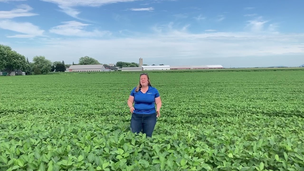 Bonne procédure pour nettoyage du réservoir