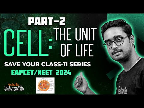 Cell The Unit of Life | Part-2 | Save Your Class 11th Series | EAPCET 2025 | NEET 2025 | Ajay Sir
