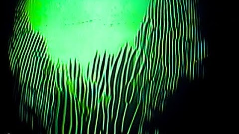 [free*] analog loop 11 (video feedback)