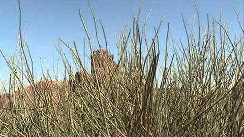 JOJOSQATSI - 01 Philip Glass - Koyaanisqatsi