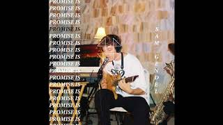 Sam Gendel - Promise Is chords