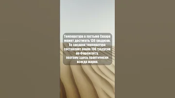 Температура в пустыне Сахара может достигать 136 градусов #shorts
