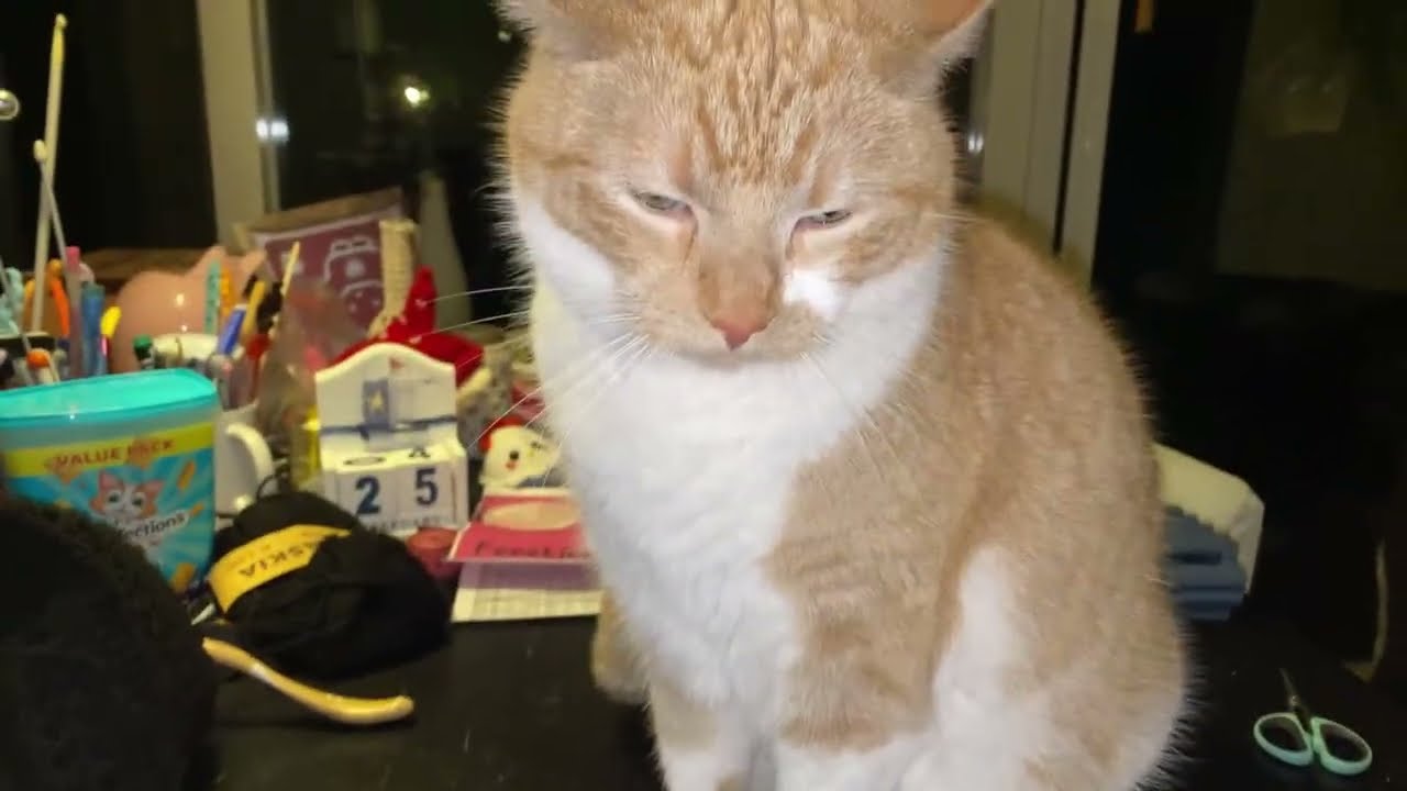 #3434 Koffiepraatjes en theeleutjes bij #MAAKHETMETMIRANDA