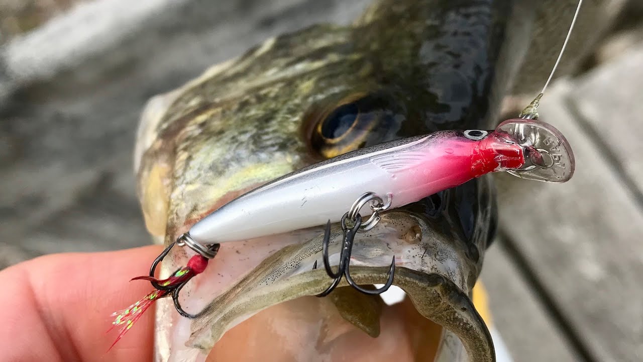How To use Jerkbaits to catch Crappie! 